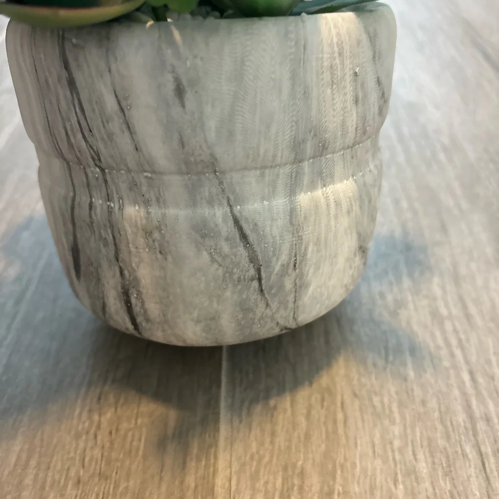 Green and Brown Succulent Arrangement in Marble Pot